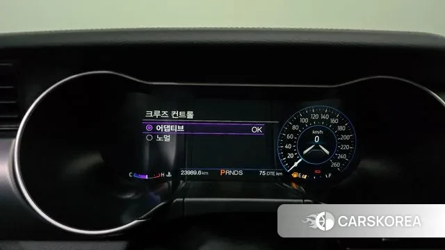 Ford Mustang id 3017032 из Кореи 18