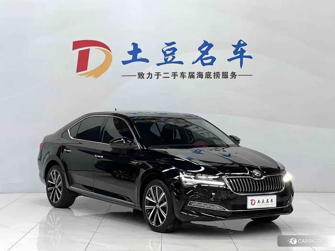Skoda Speed pie id 4577623 из Китая 17
