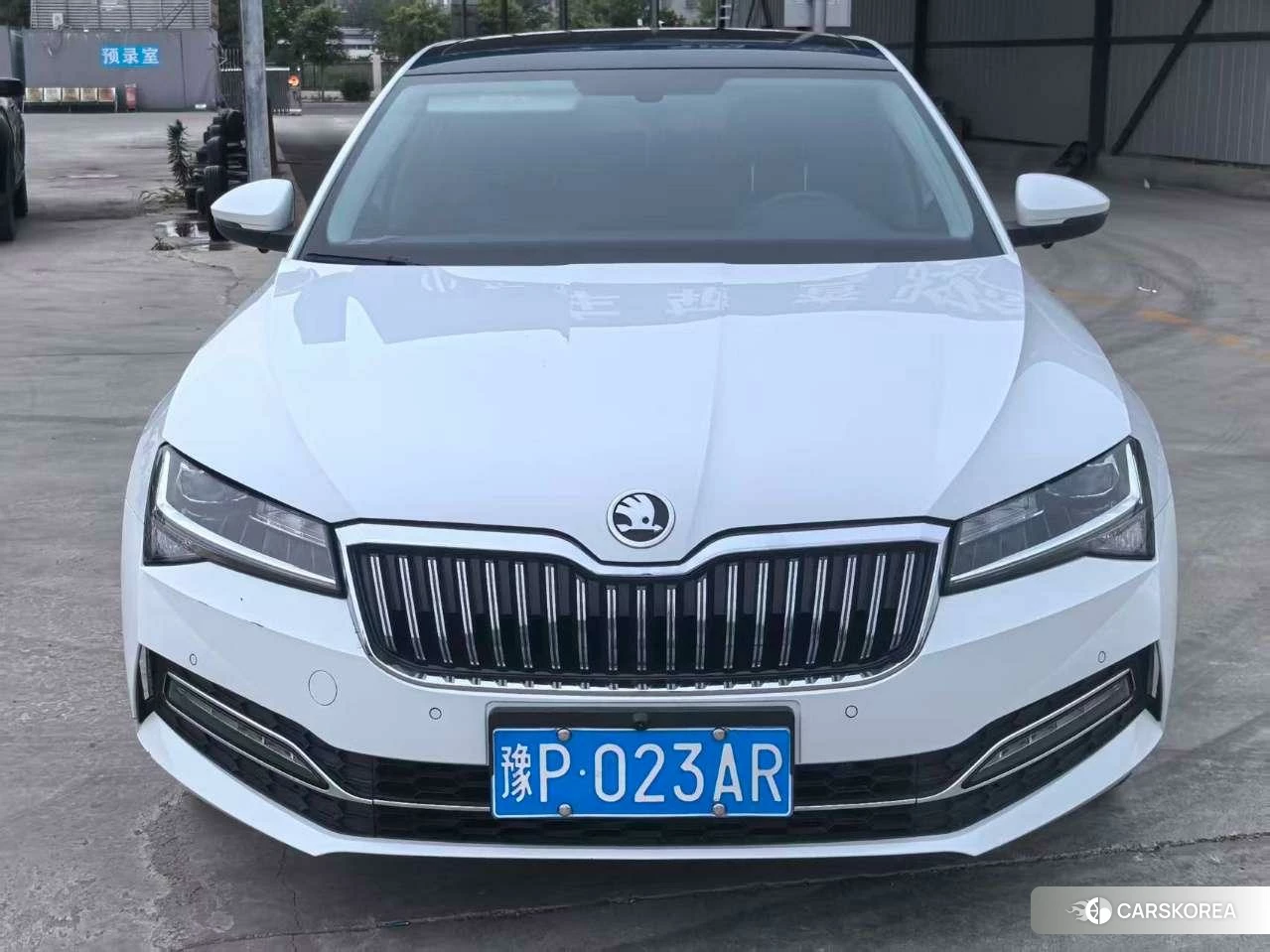 Skoda Speed pie id 4499051 из Китая 8