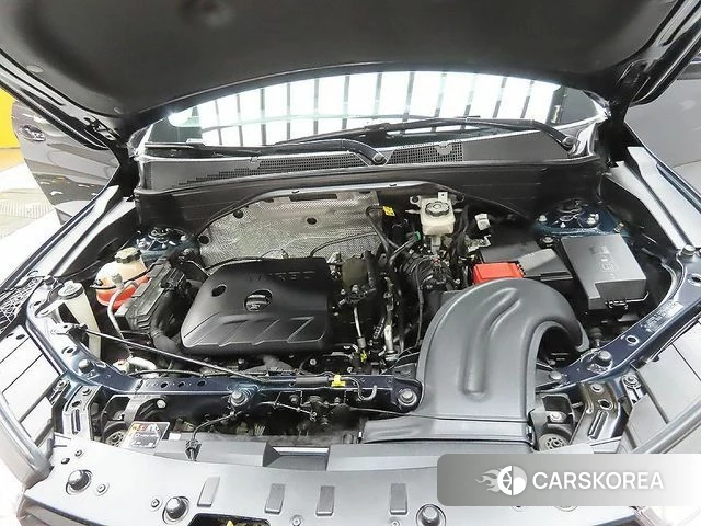 Chevrolet (GM Daewoo) Trailblazer id 4600065 из Кореи 18