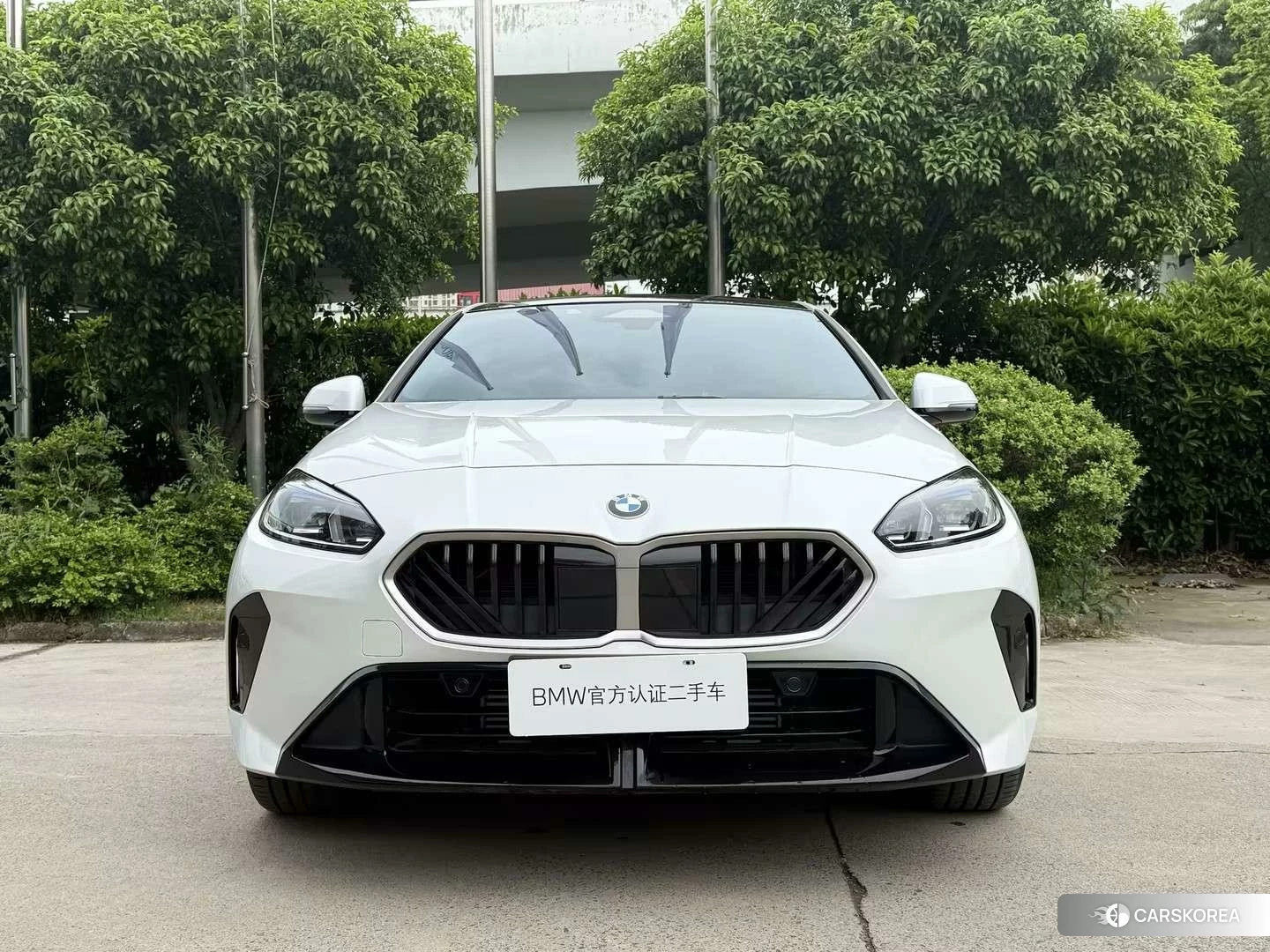 BMW 2 series id 4454489 из Китая 15