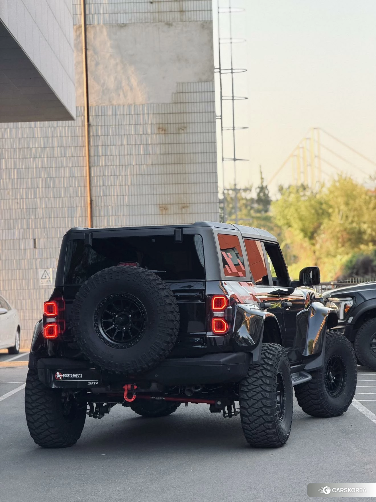 Ford Lie Ma id 4455870 из Китая 10