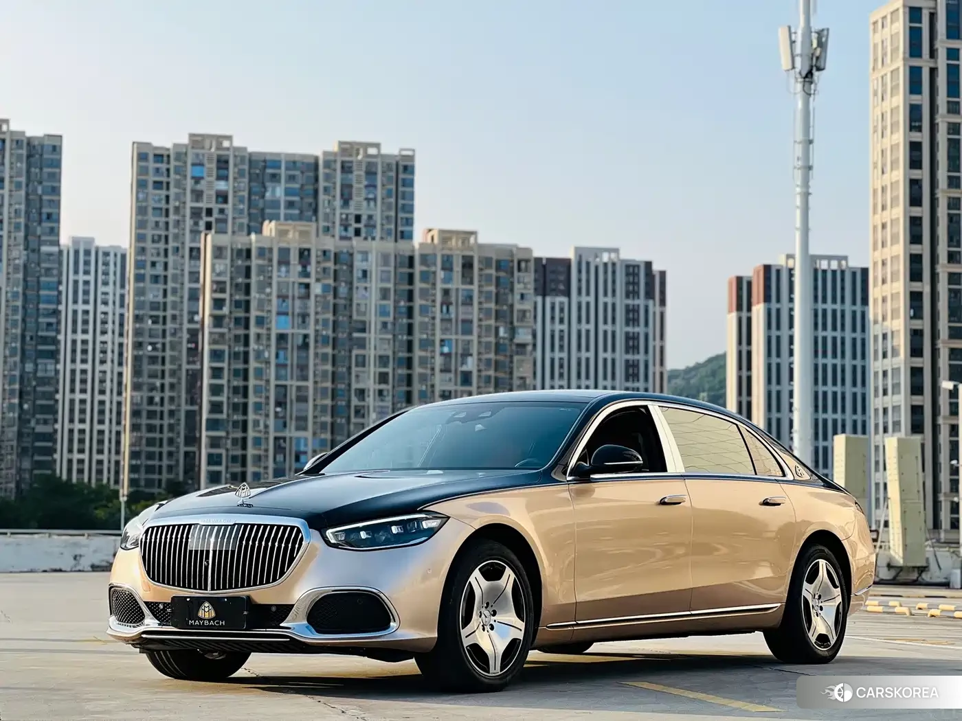 Mercedes-Benz Maybach S-Class id 4669360 из Китая 14