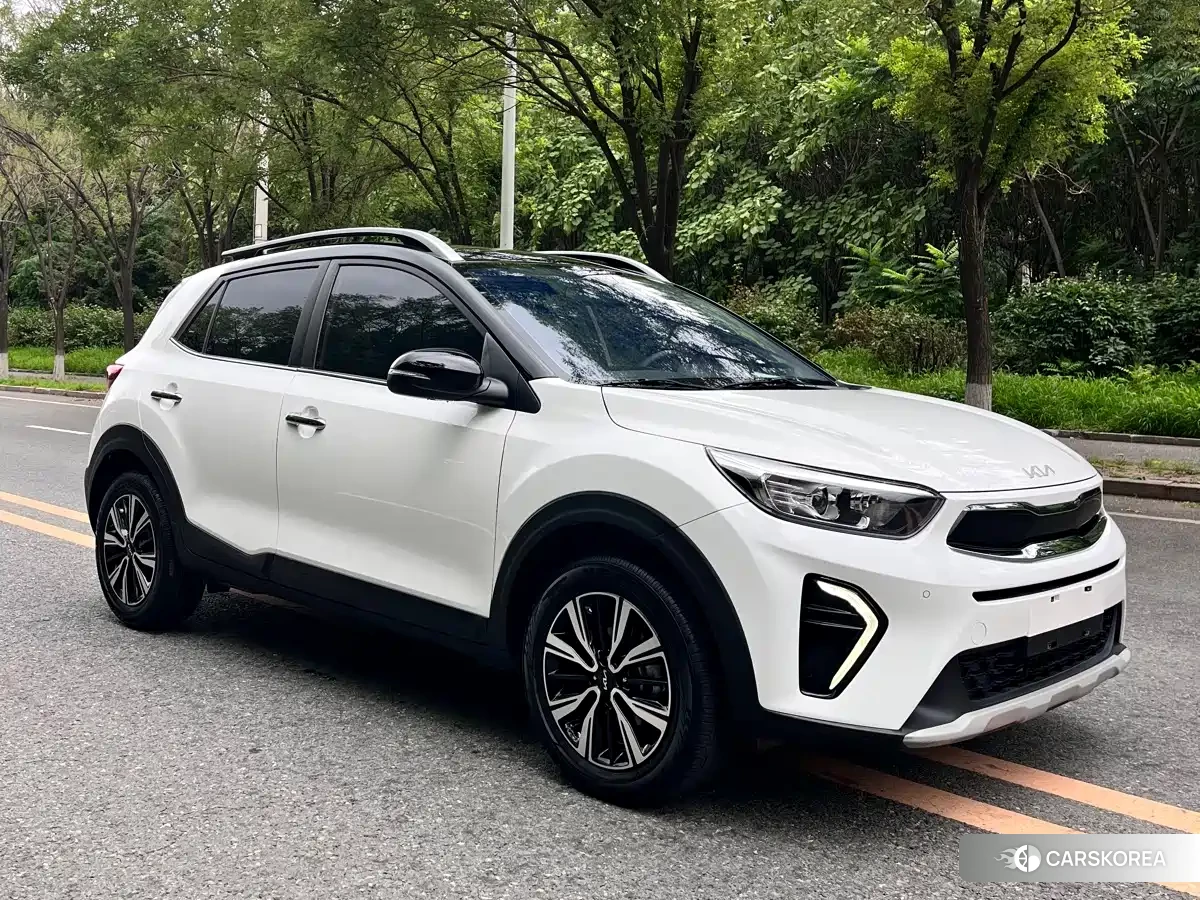 Kia Yi Ran id 4570408 из Китая 13