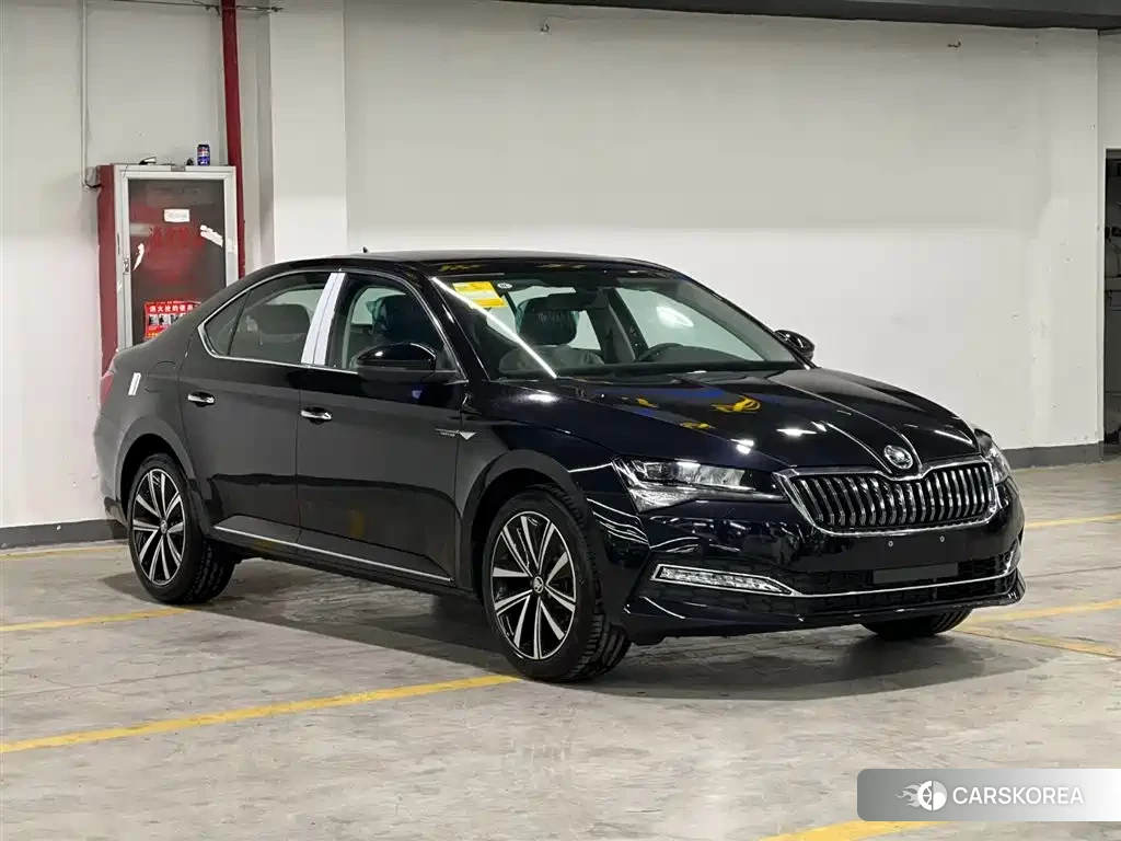 Skoda Speed pie id 4538732 из Китая 17