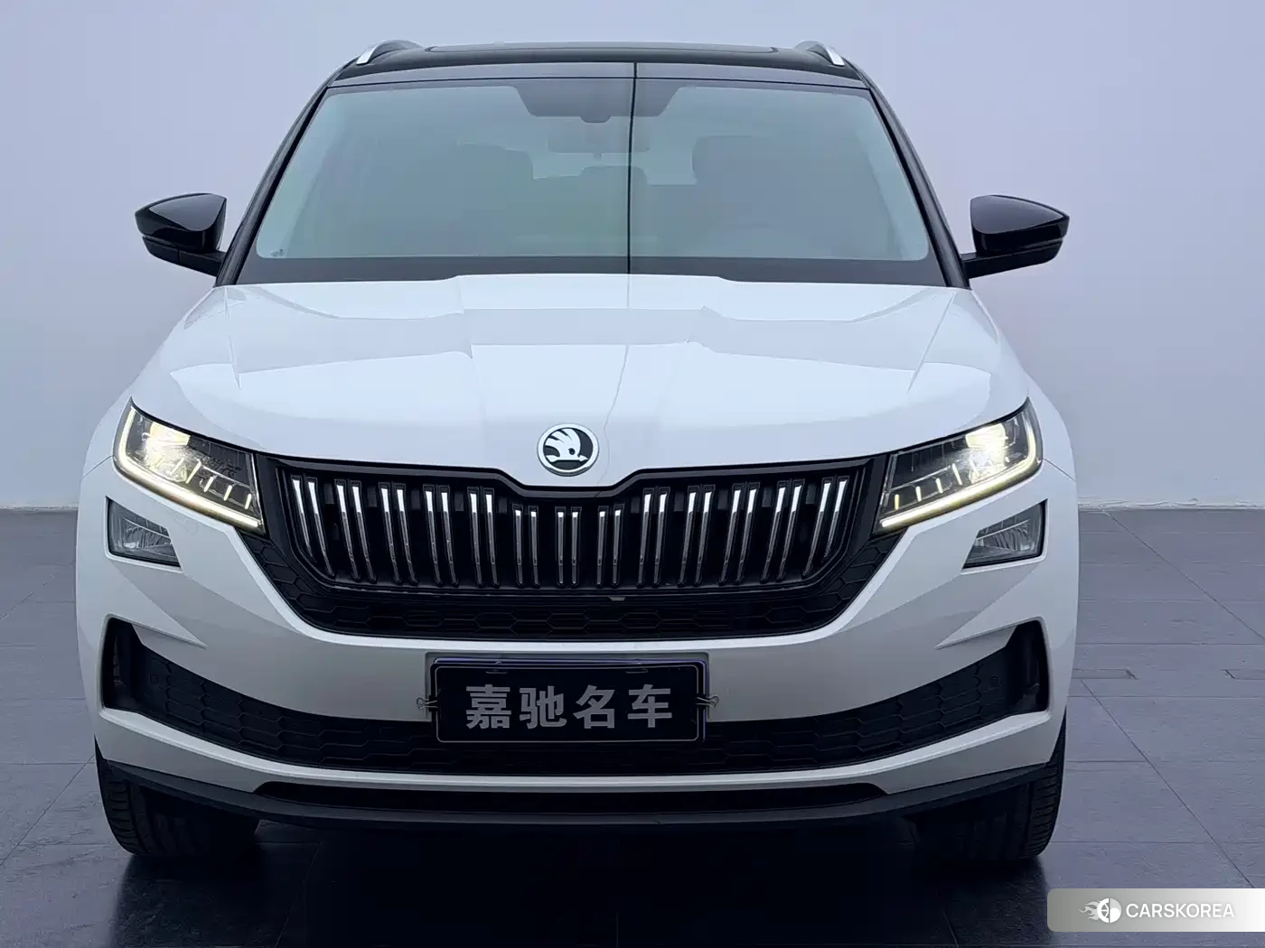 Skoda Kodiaq id 4607078 из Китая 8