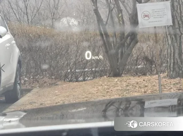 Genesis G90 id 3543742 из Кореи 10