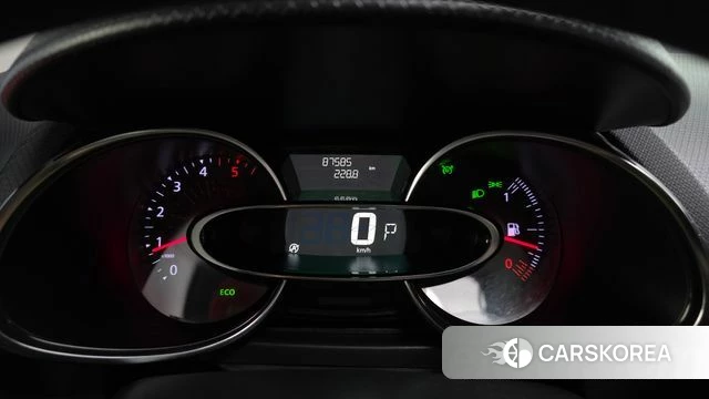 Renault Korea (Samsung) Clio id 4850045 из Кореи 18