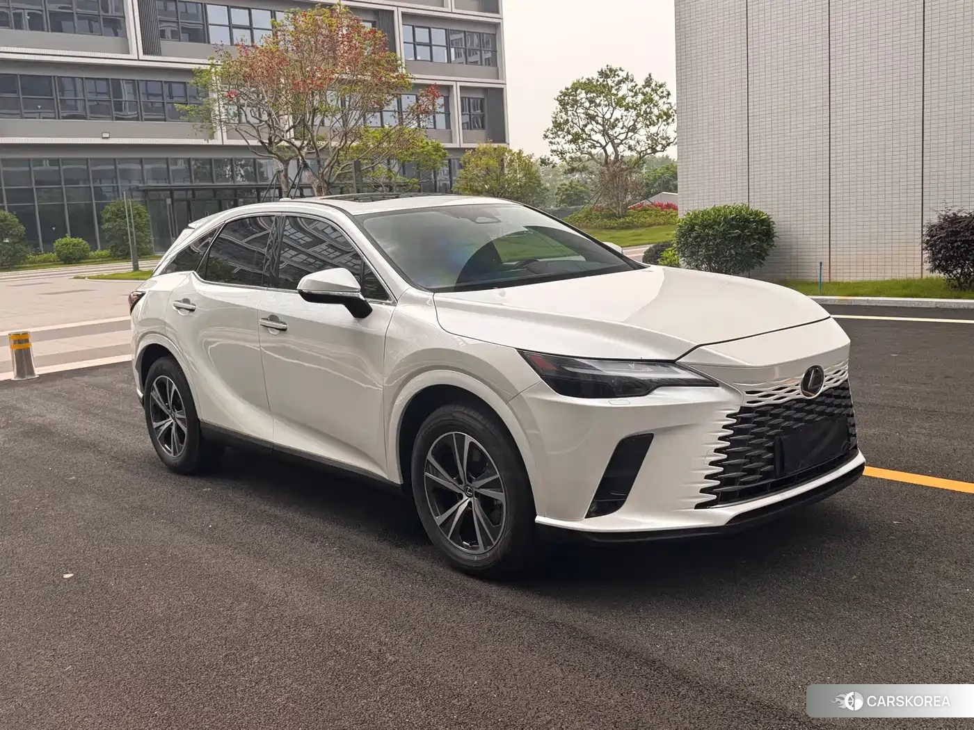 Lexus RX id 4515307 из Китая 8