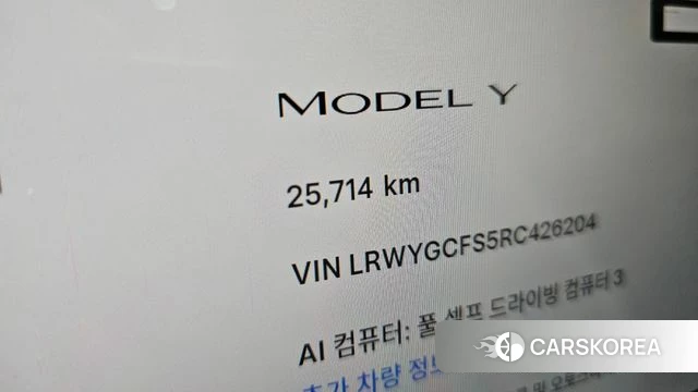 Tesla Model Y id 4871075 из Кореи 31