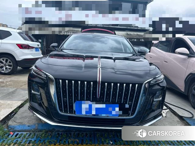 Red flag H5 id 4215081 из Китая 10