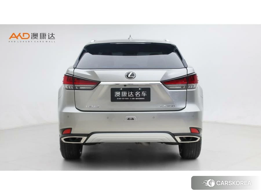 Lexus RX id 4452472 из Китая 8