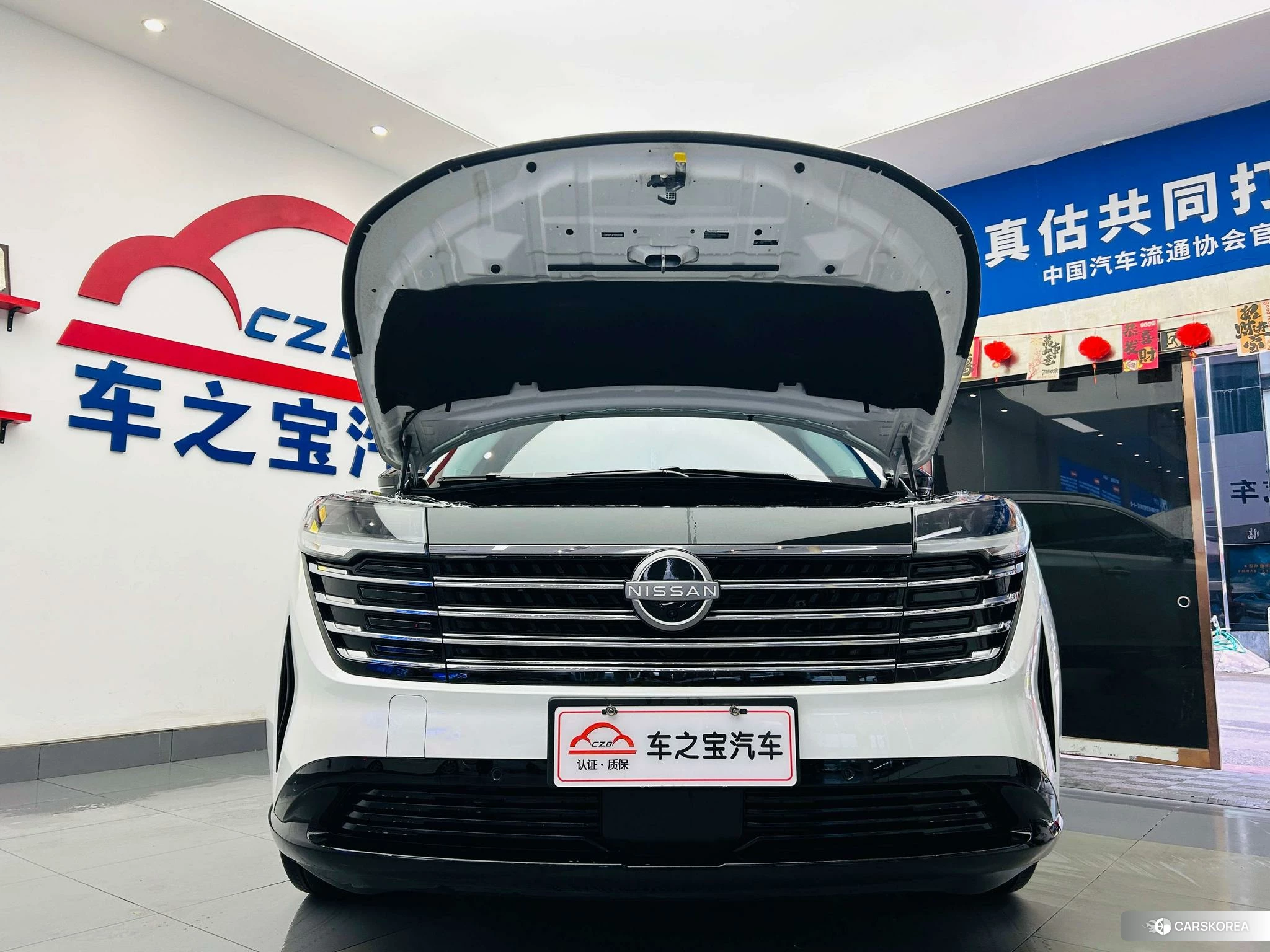 Nissan Exploring the land id 4512527 из Китая 25