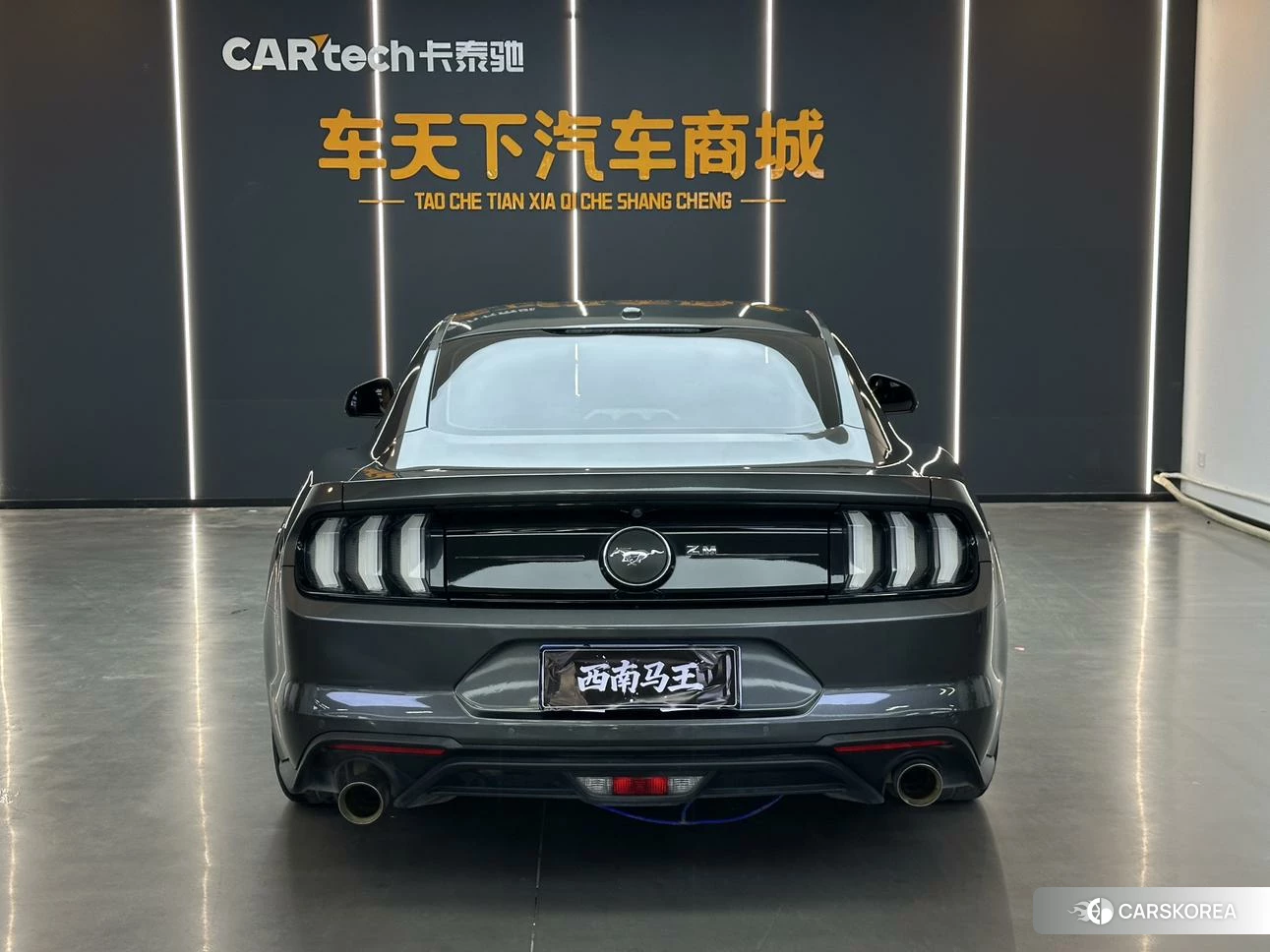 Ford Mustang id 4406121 из Китая 8