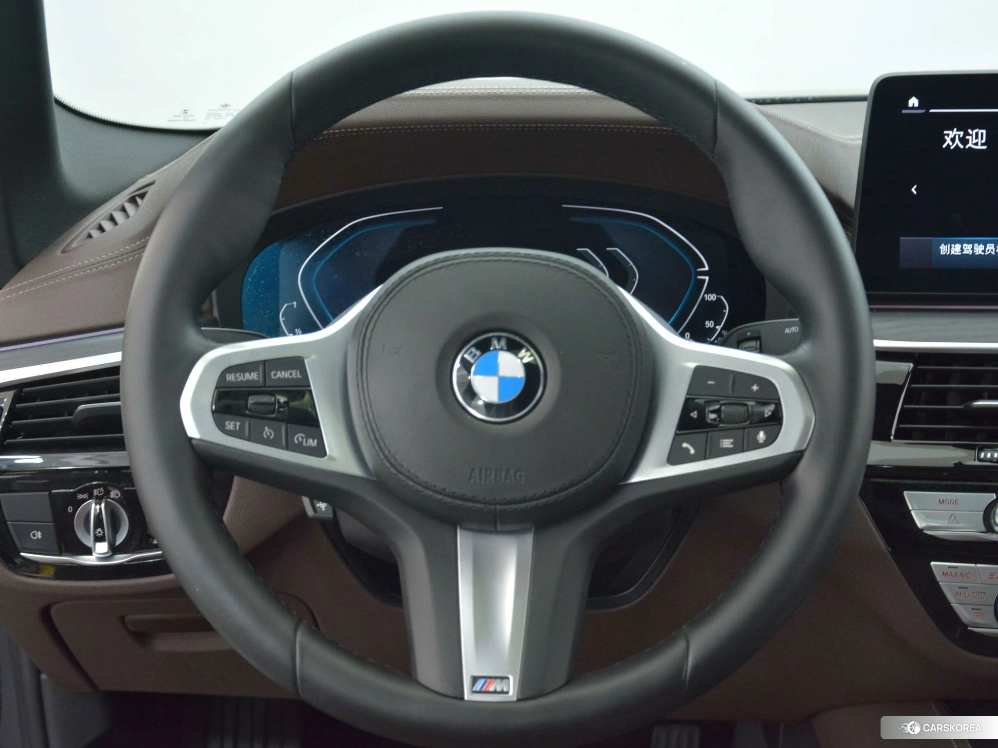 BMW 5 series PHEV id 4512812 из Китая 13