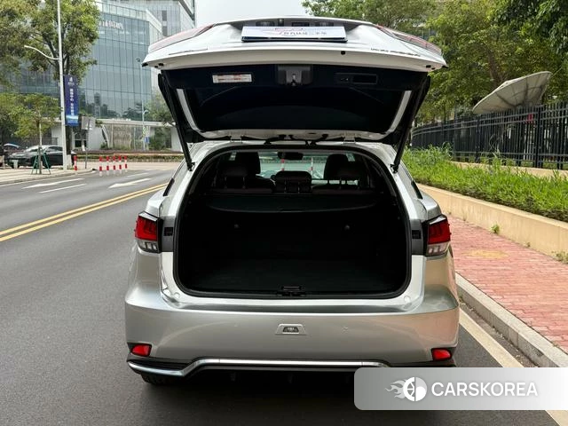 Lexus RX id 4298547 из Китая 19