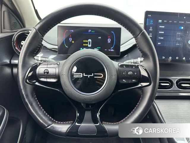 BYD e2 id 4198980 из Китая 25