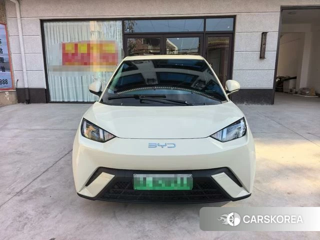 BYD Seagull id 3908315 из Китая 8