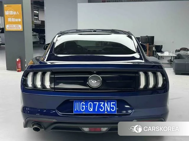 Ford Mustang id 4207139 из Китая 9