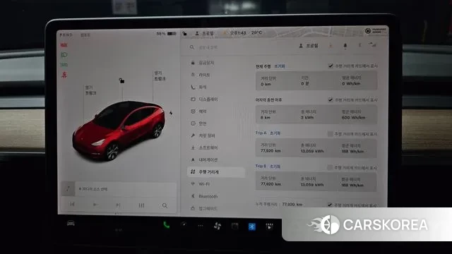 Tesla Model Y id 3012647 из Кореи 18