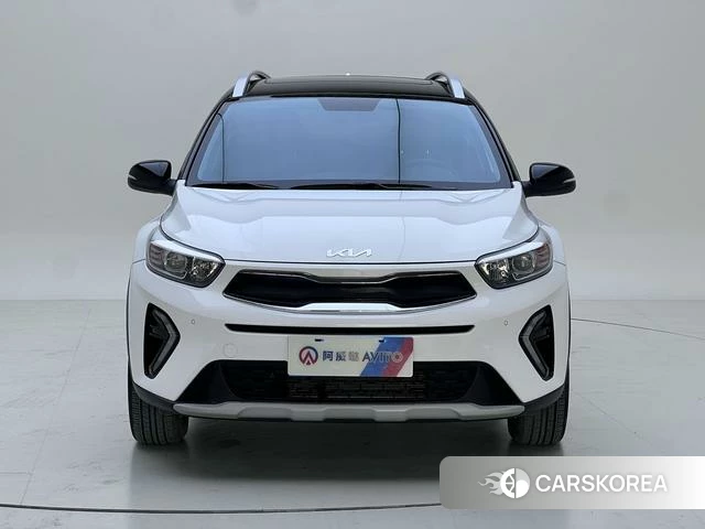 Kia Yi Ran id 4333836 из Китая 32