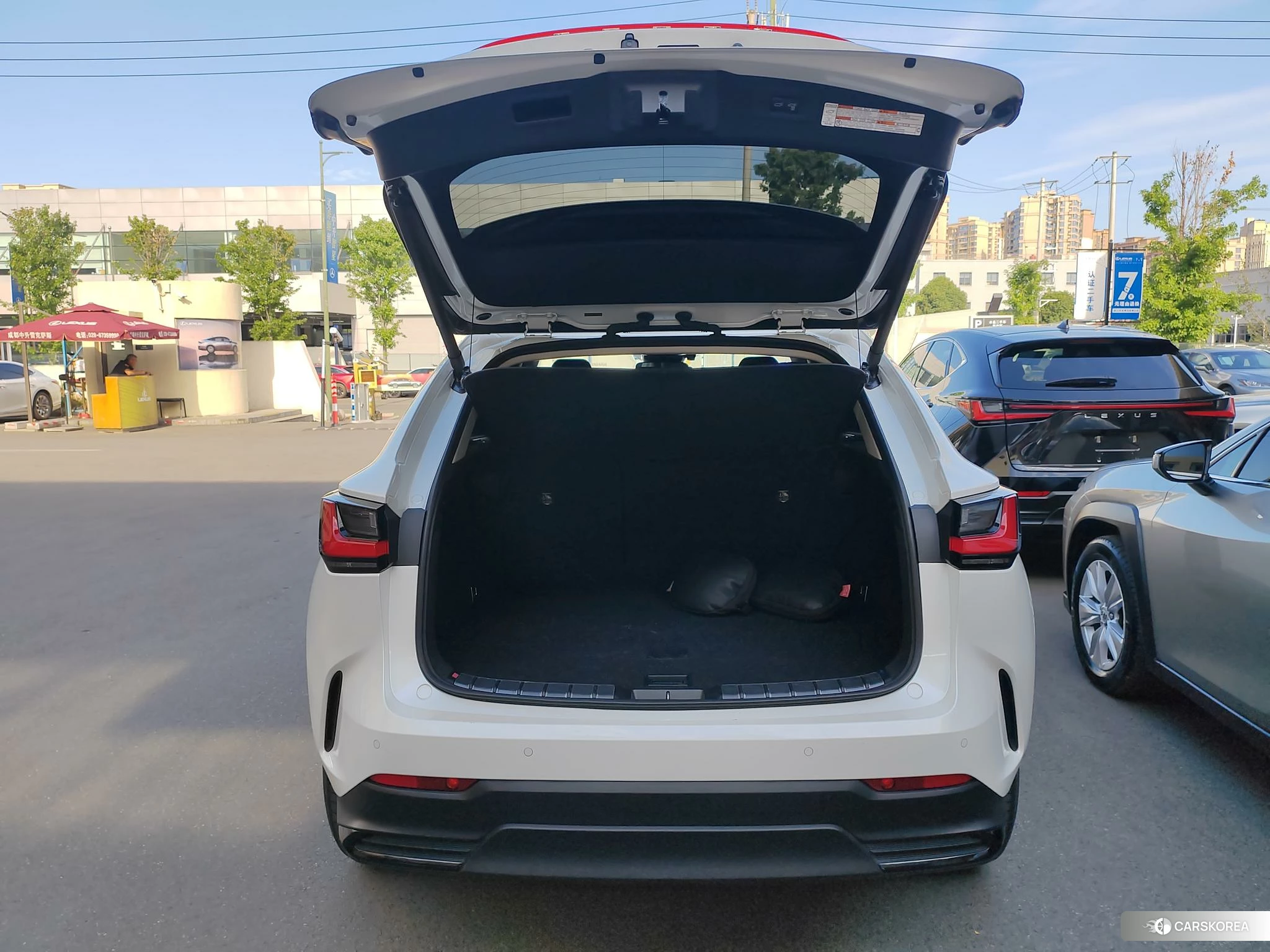 Lexus NX PHEV id 4440966 из Китая 15