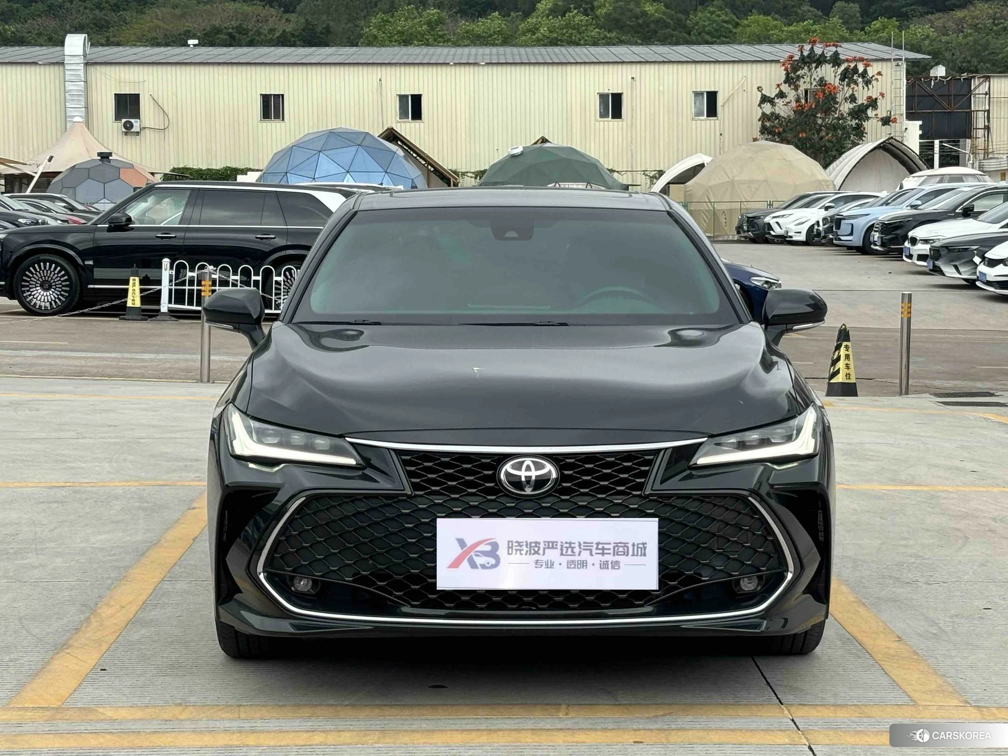Toyota Asian dragon id 4419181 из Китая 15