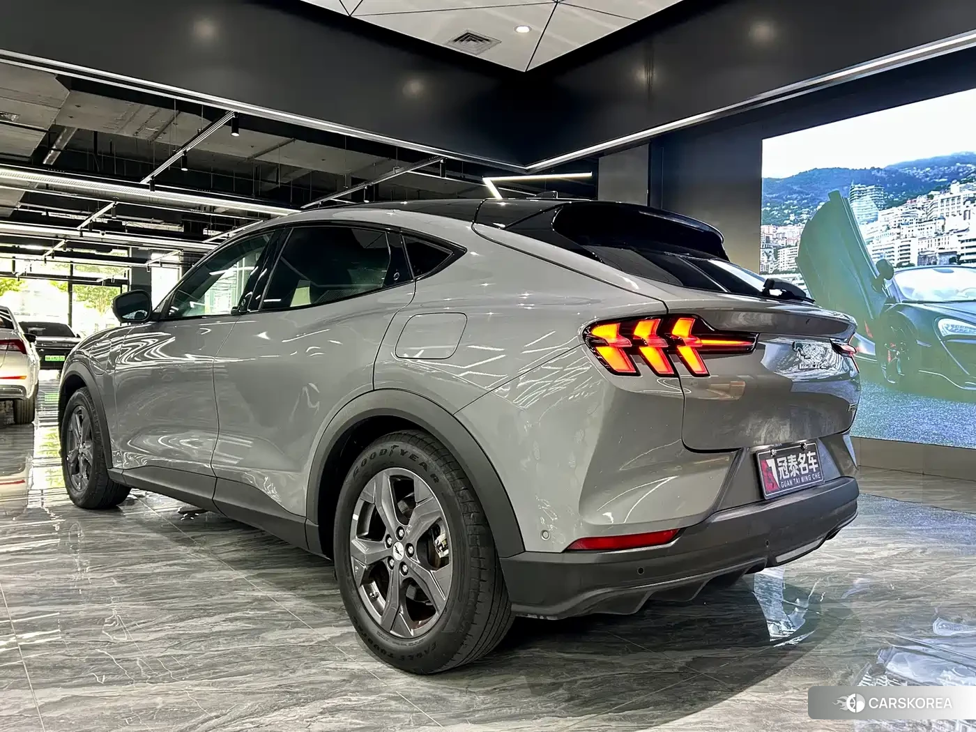 Ford Electric horse id 4644639 из Китая 38
