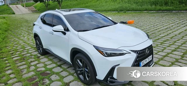 Lexus NX350h Second generation id 4629187 из Кореи 18