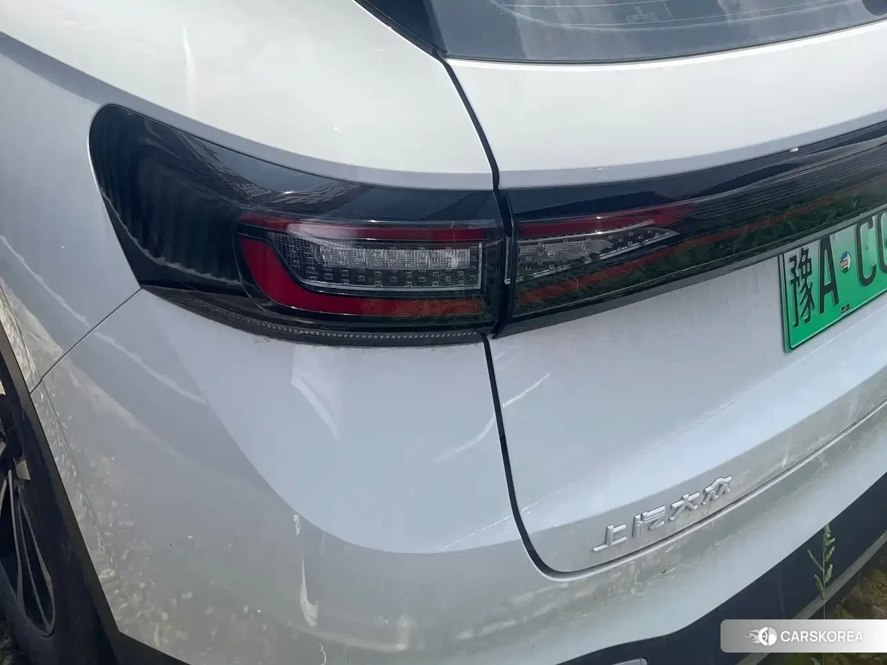 Volkswagen ID.4 X id 4617134 из Китая 8