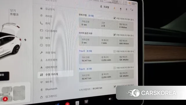 Tesla Model 3 id 3054490 из Кореи 18