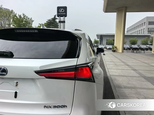 Lexus NX id 4262252 из Китая 15