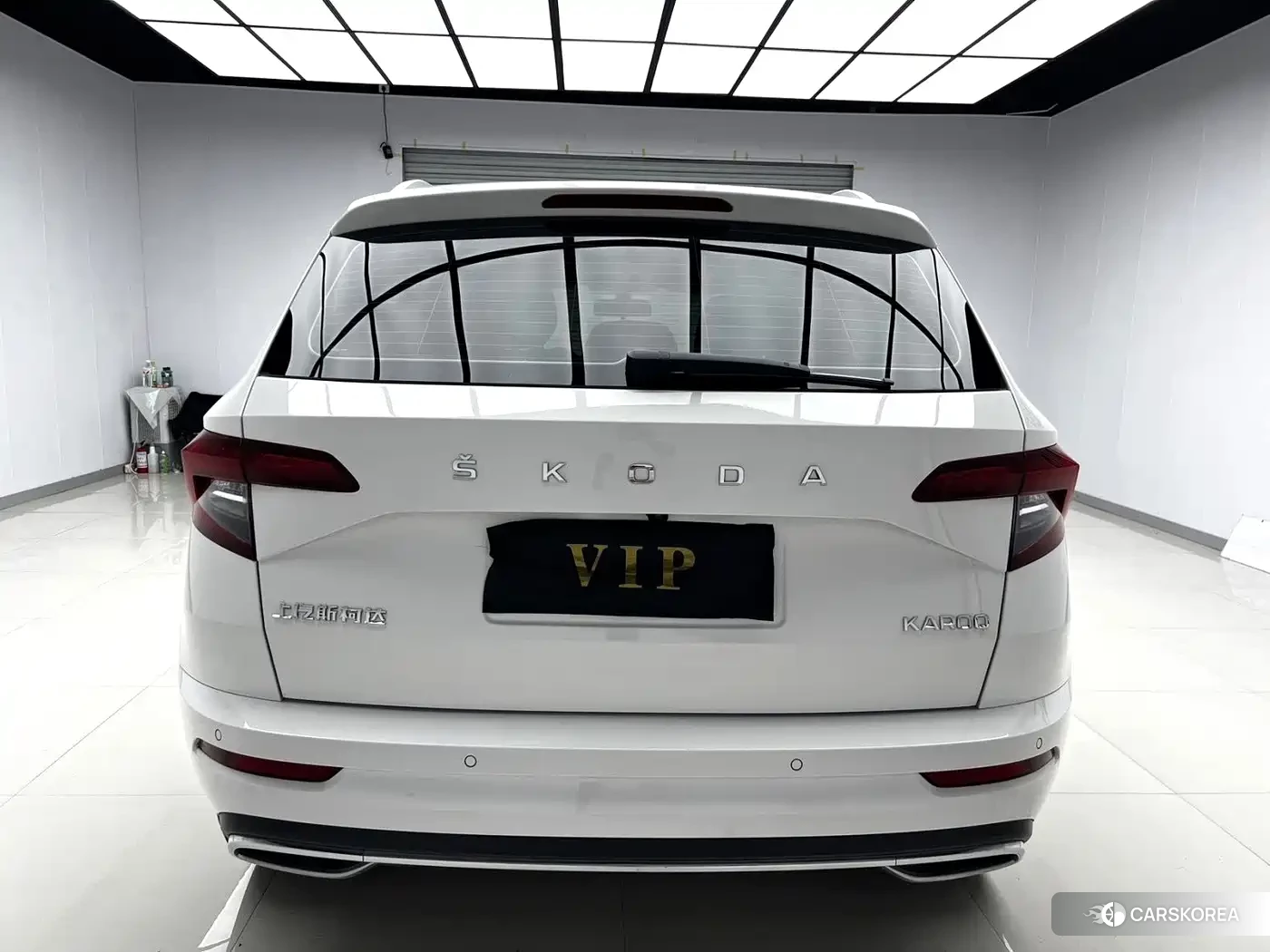 Skoda Karoq id 4686010 из Китая 13