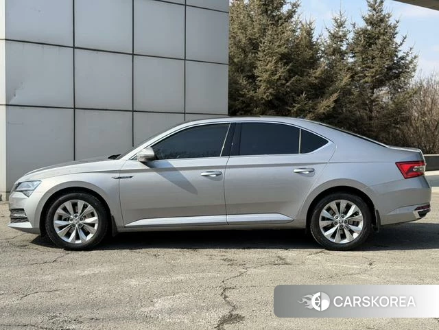 Skoda Speed pie id 4207761 из Китая 33
