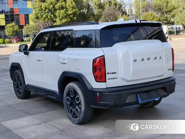 Haval Cool dog id 4242043 из Китая 10
