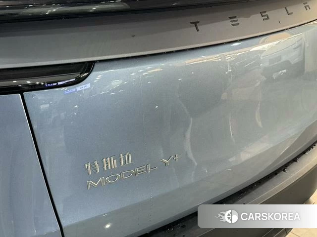 Tesla Model Y id 4207015 из Китая 15