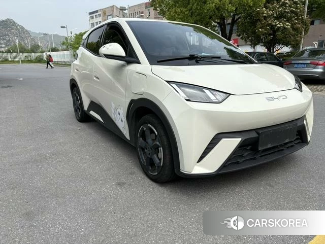BYD Seagull id 4242164 из Китая 9