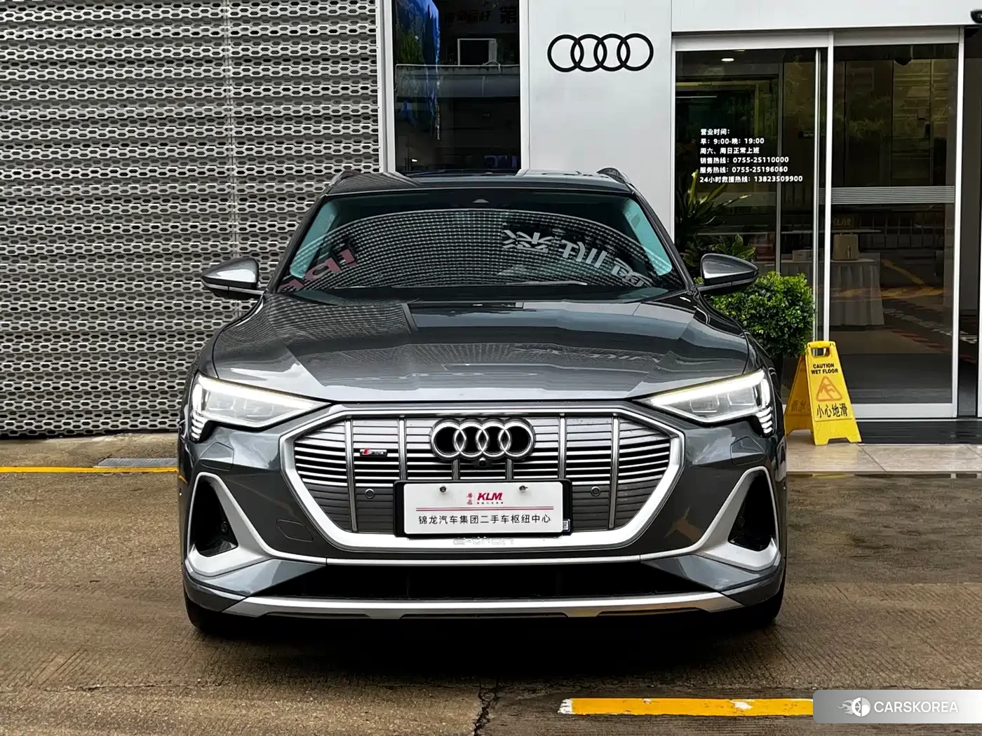 Audi e-tron id 4600462 из Китая 27