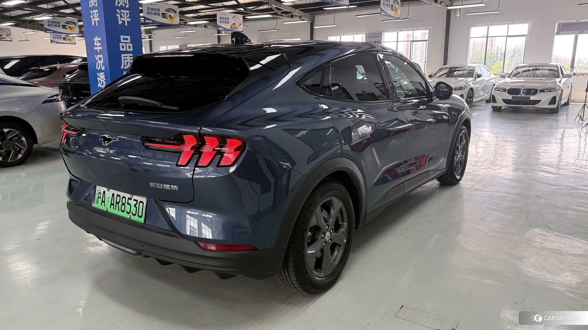 Ford Electric horse id 4453031 из Китая 8