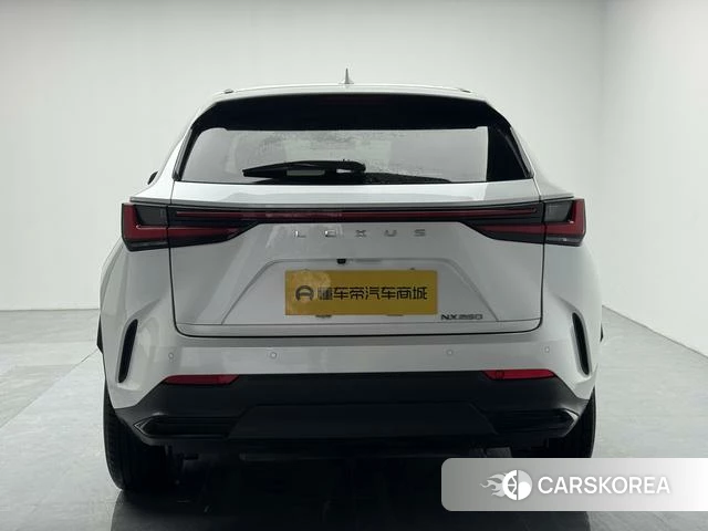 Lexus NX id 4261279 из Китая 18