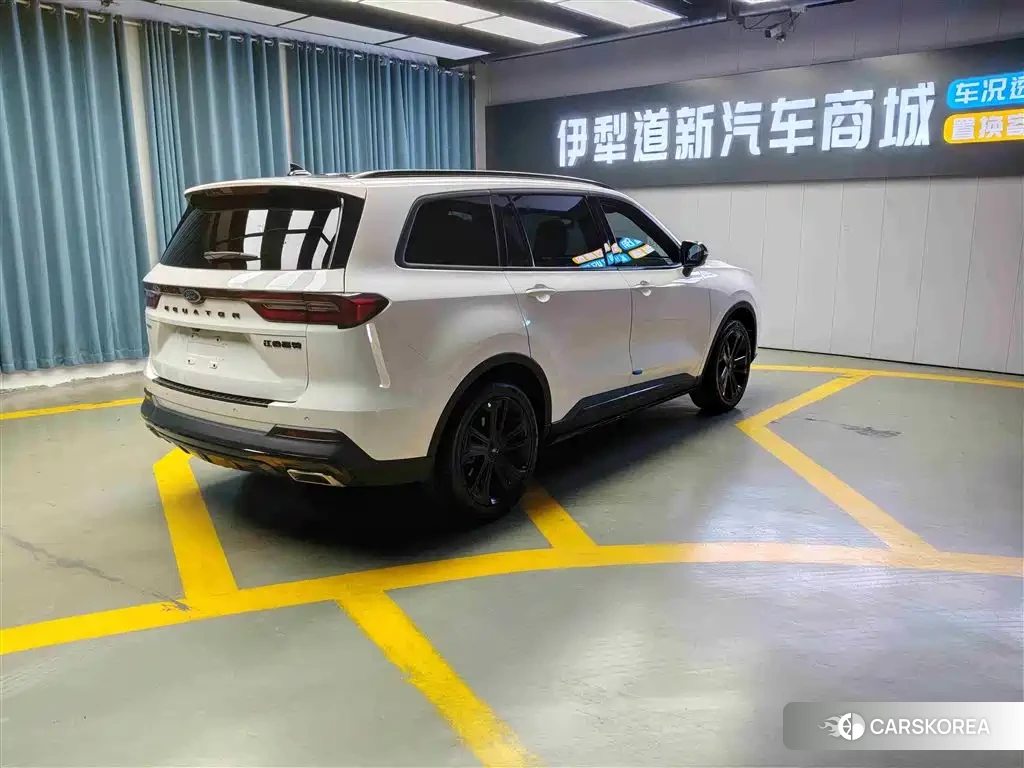 Ford Lingyu id 4545954 из Китая 8
