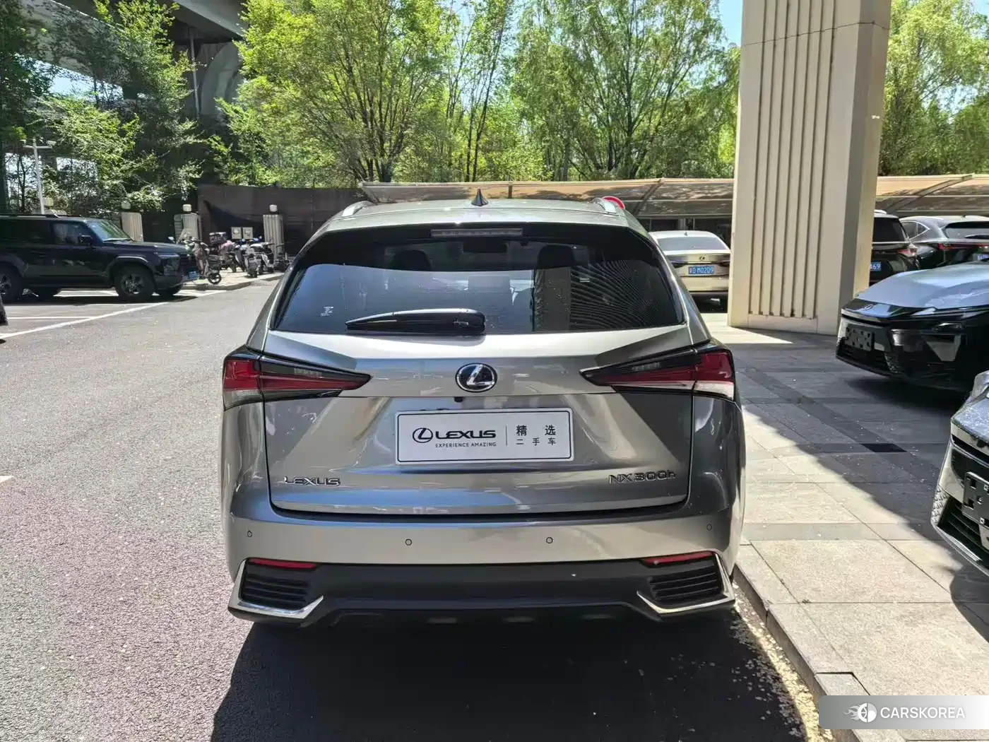Lexus NX id 4559694 из Китая 8