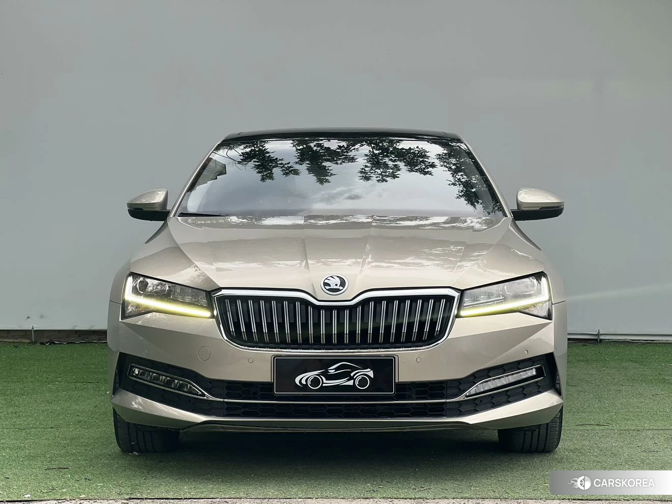 Skoda Speed pie id 4515155 из Китая 8