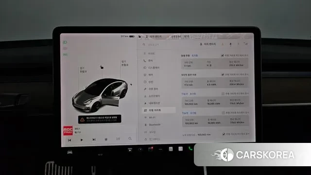 Tesla Model 3 id 3504449 из Кореи 18