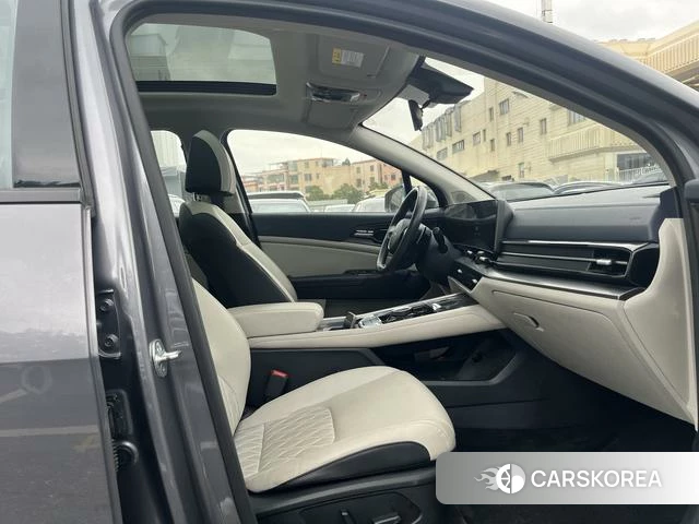 Kia Lion Platinum expands the world id 4264186 из Китая 19