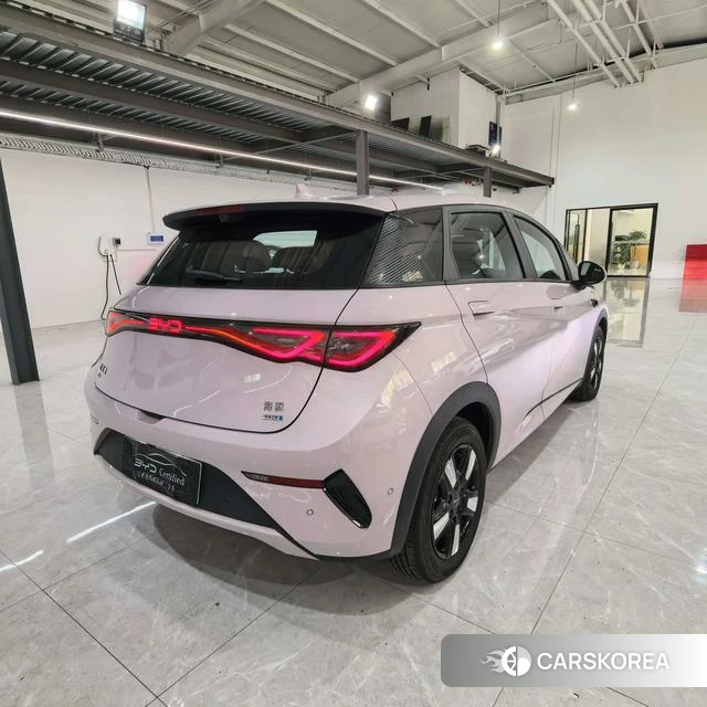 BYD dolphin id 3909015 из Китая 10