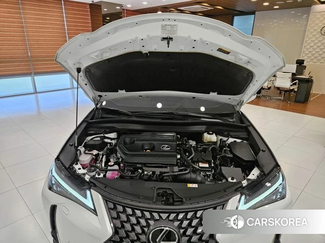 Lexus UX300h id 4725072 из Кореи 13