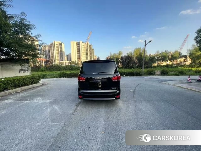 Chase G10 id 4238888 из Китая 8