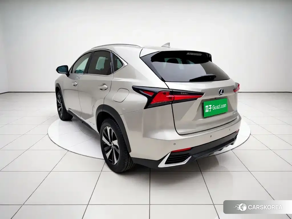Lexus NX id 4589196 из Китая 19