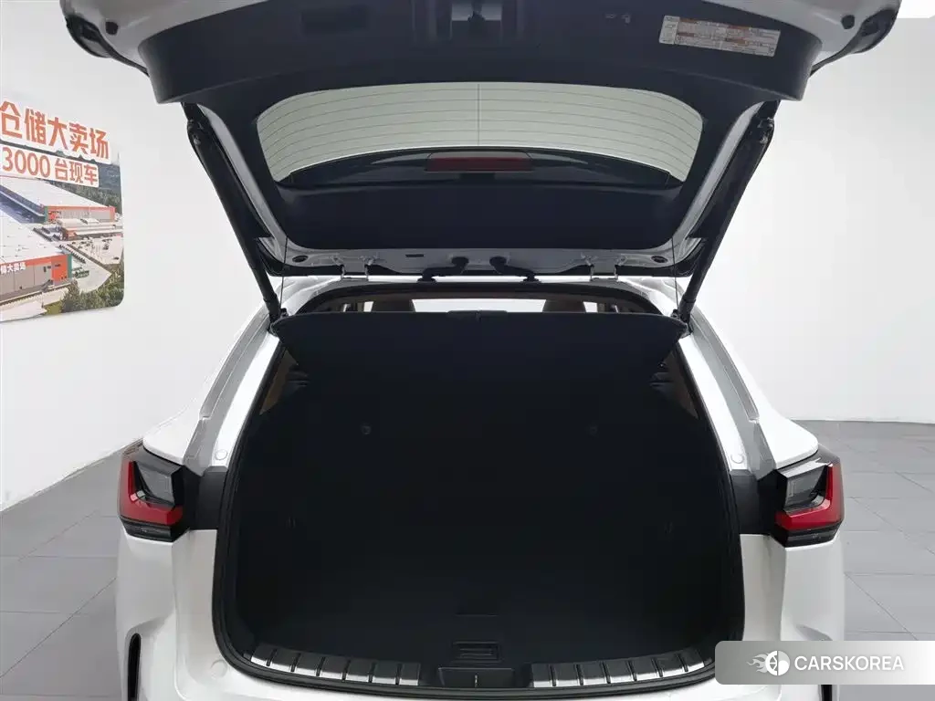 Lexus NX id 4589120 из Китая 22